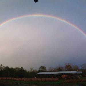 Meet your Posher, Samra